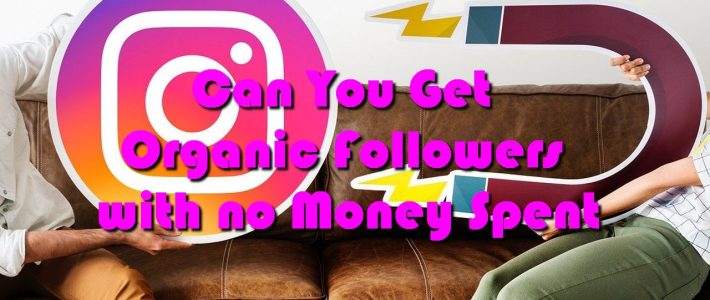 Can You Get Organic Followers with no Money Spent